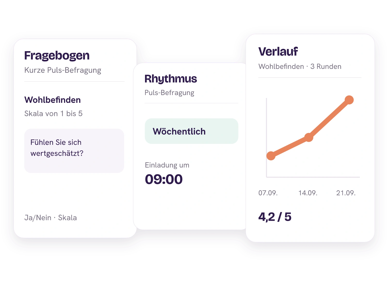Fragebogen, wöchentlich konfigurierter Rhythmus und Verlauf über drei Puls-Runden.